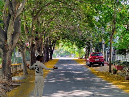 Image Blending using Python(PIL)